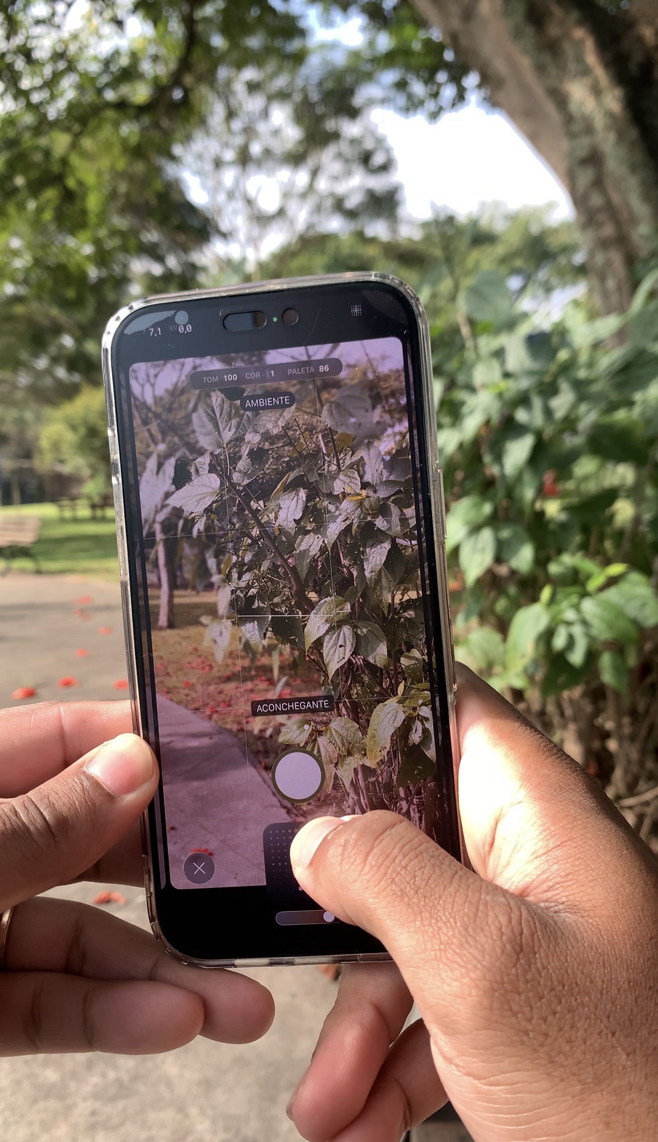Ajuste de tom e paleta de cor no app da câmera