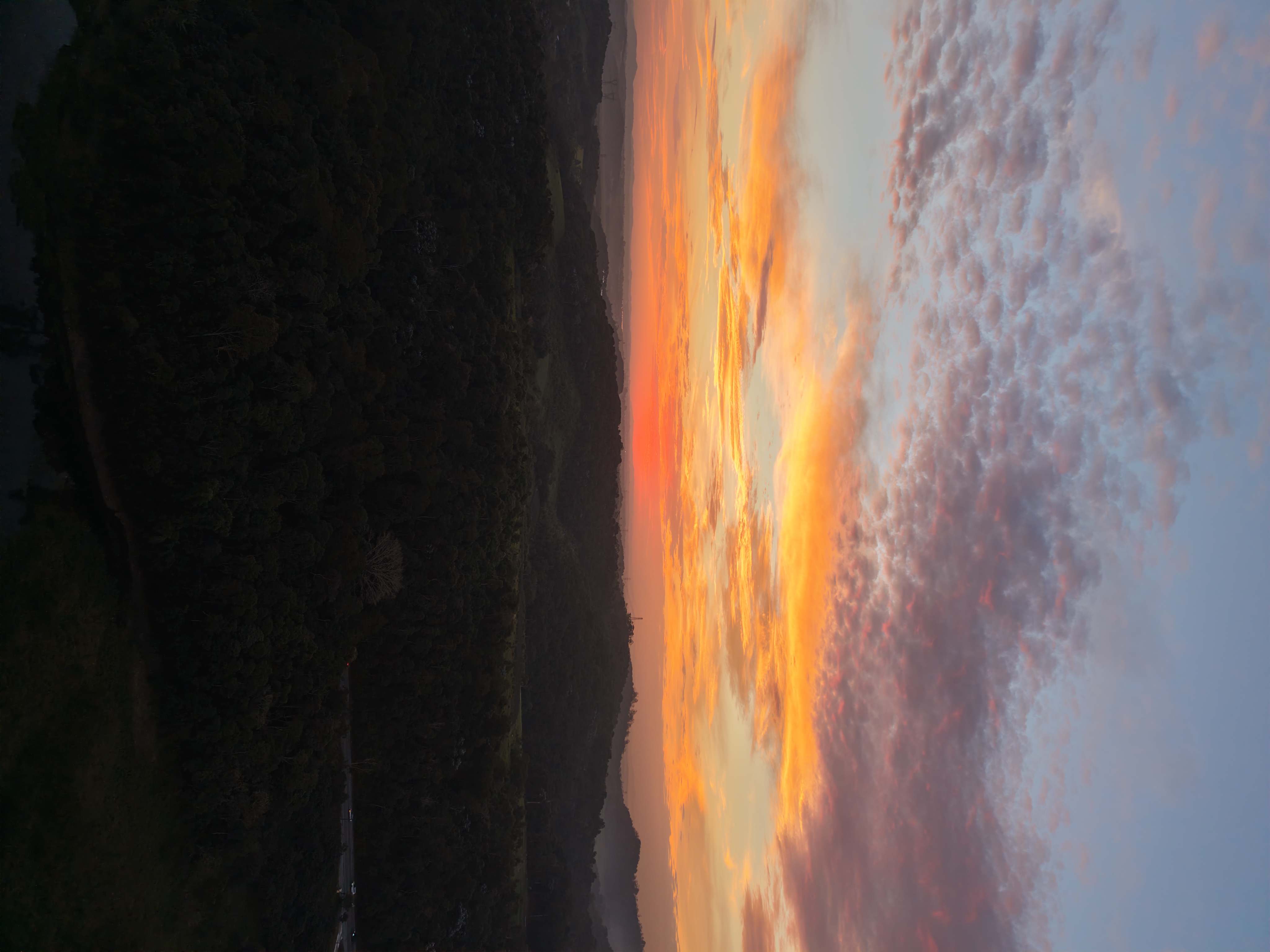 Nascer do sol com feixe de luz entre as árvores